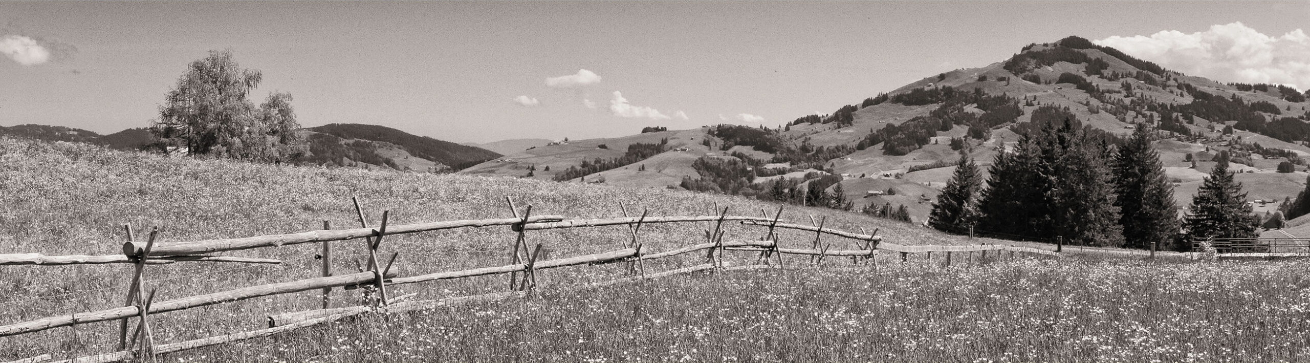 ID·MANSER Design-Atelier Fotografie Landschaft