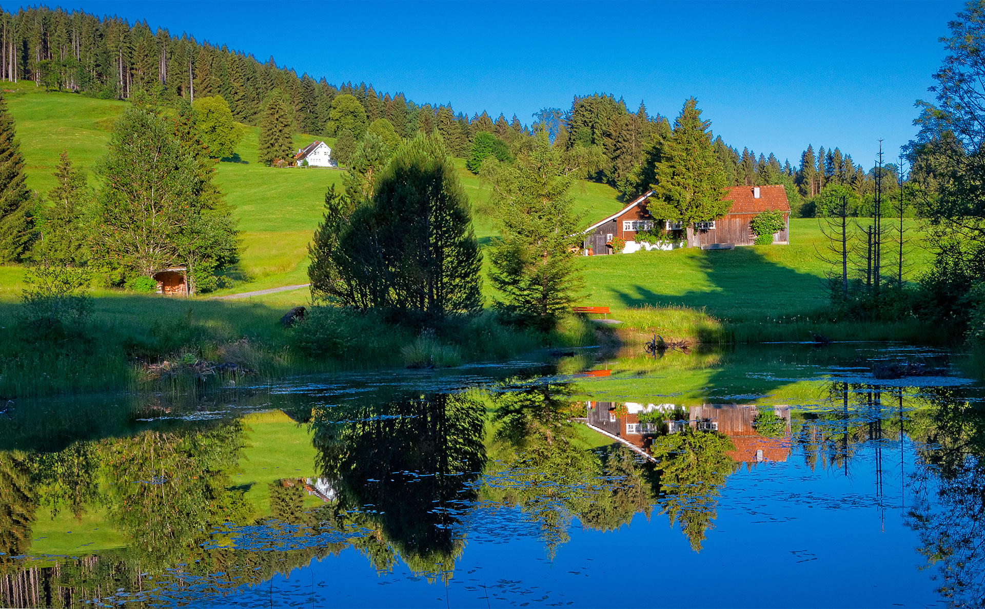 Sommer-Morgenstimmung im Appenzellerland