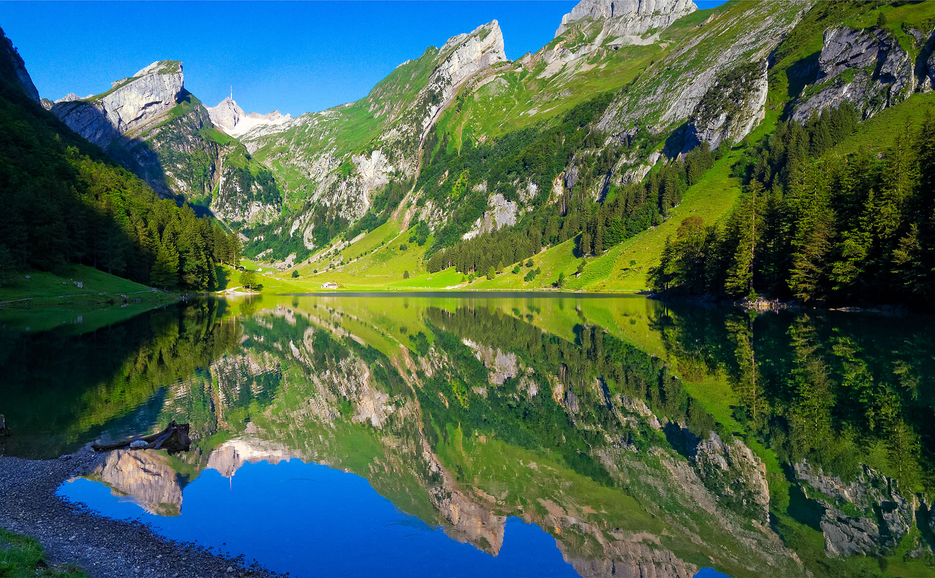 Spiegelung im Seealpsee, Sommermorgen